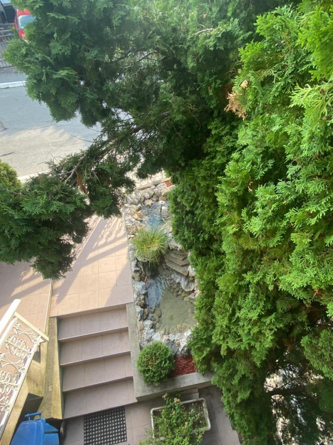 Gala Posh Apartman Sokobanja Kültér fotó